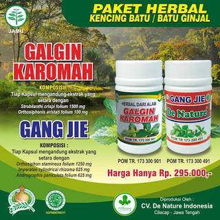 Illustration for article titled Penyakit Yang Disebabkan Oleh Batu Ginjal